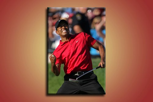 Tiger Woods - LO 0053