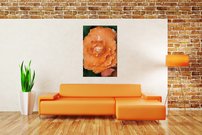 obraz na stenu oranzovy kvet KV 3