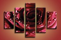 Červená ruža-KV 0110 - červená ruža