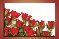 Červené ruže - KV 0114
