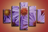 Fialové kvety - KV 0117