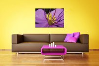 obraz na stenu purpurovy kvet KV 6
