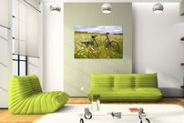 Obraz na stenu Bicykel 6