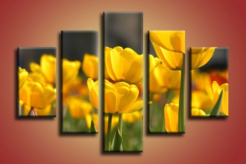 Žlté tulipány - KV 0001