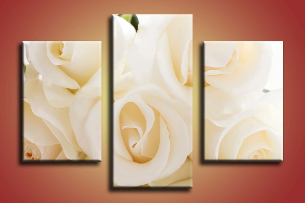 Biele ruže- KV 0015