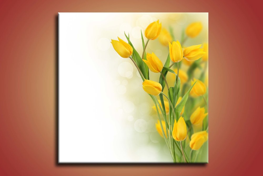 Žlté tulipány - KV 0039