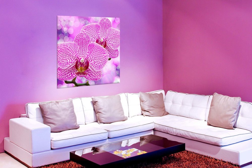 obraz na stenu orchidea KV 2