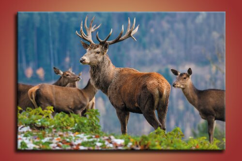 Obraz Jeleň lesný - PK 0250