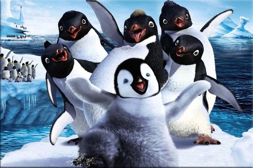 Tapeta Happy Feet - AN 0052