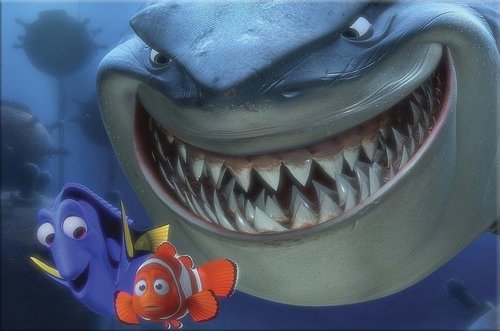 Tapeta Nemo - AN 0069