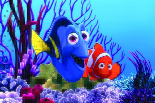 Tapeta Nemo - AN 0077