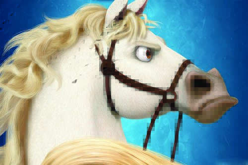 Tapeta Kôň - AN 0085