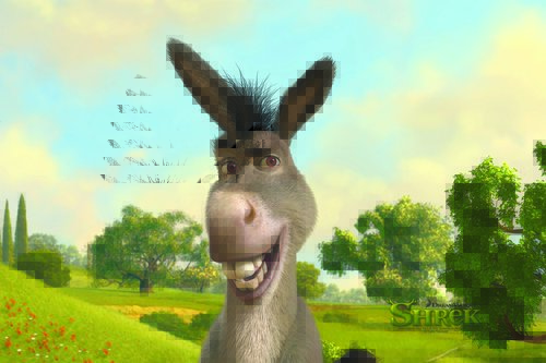 Tapeta Oslík - AN 0093