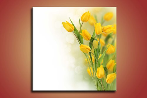 obraz na stenu zlte tulipany KV 1