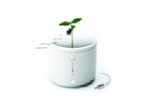 Tapeta Apple - KV 0085