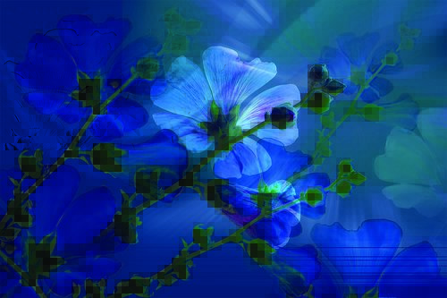 Tapeta Modré kvety - KV 0093