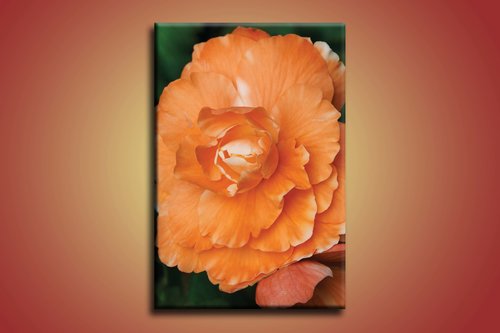 Oranžový kvet - KV 0103