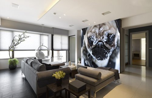 Tapeta ZR 0143 - Buldog