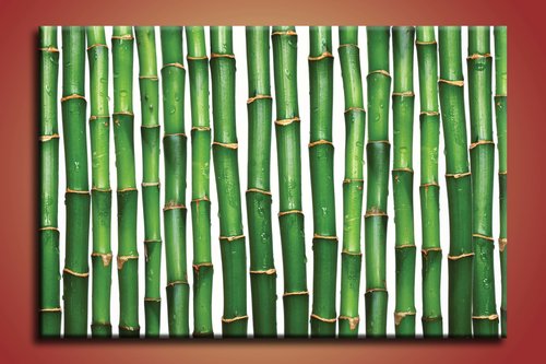 obraz na stenu bambusy 1