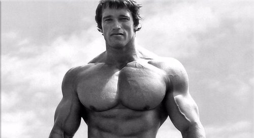Arnold Schwarzenegger- LO 1003