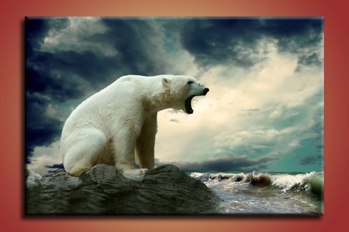 obraz na stenu biely medved - 1
