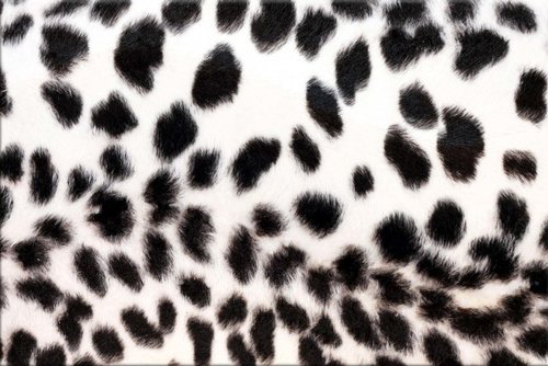 Tapeta ZR 0053 - Škvrny