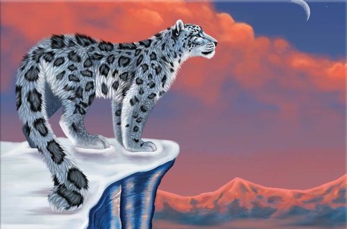 Biely leopard - ZR 0145