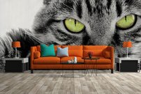 Tapeta Mačka - ZR 0002