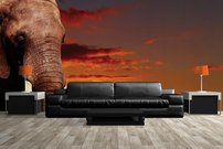 Tapeta ZR 0009 - Afrika