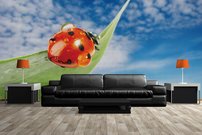 Tapeta ZR 0014 - Lienka