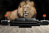 Tapeta ZR 0023 - Lev