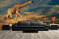 Tapeta ZR 0024 - Žirafa