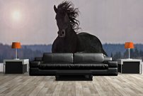 Tapeta ZR 0026 - Kôň