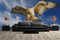 Tapeta ZR 0027 - Sokol