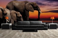 Tapeta ZR 0029 - Slony