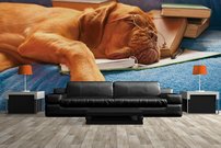 Tapeta ZR 0030 - Pes