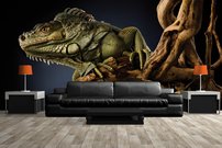 Tapeta ZR 0031 - Jašter