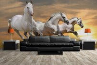 Tapeta ZR 0032 - Biele kone