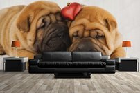 Tapeta ZR 0033 - Buldogy