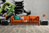 Fototapeta Kamene - WS 0036