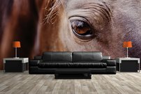 Tapeta ZR 0036 - Kôň