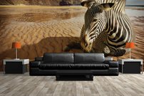 Tapeta ZR 0037 - Zebra