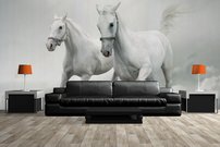 Tapeta ZR 0038 - Biele kone