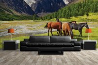 Tapeta ZR 0040 - Kone