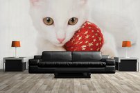 Tapeta ZR 0043 - Biela mačka