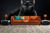Tapeta Čierna mačka - ZR 0055