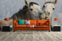 Tapeta Koníky - ZR 0056