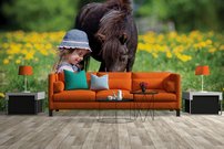 Tapeta Poník - ZR 0057