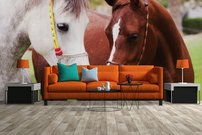 Tapeta Kone - ZR 0058