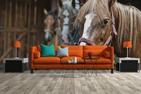 Tapeta Kone - ZR 0060